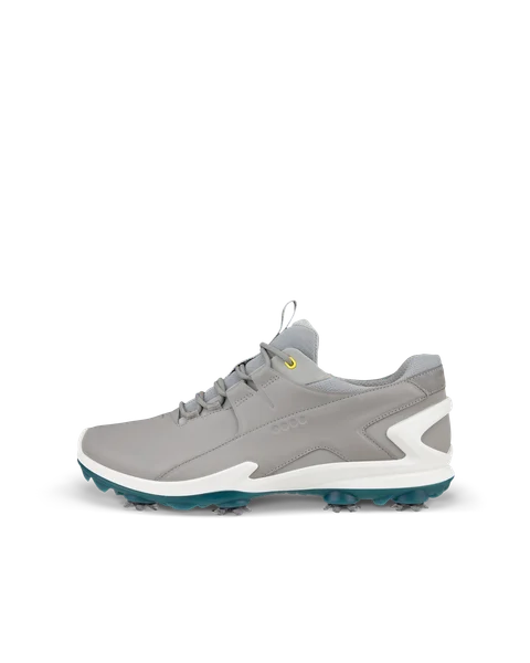ECCO M Golf Biom Tour